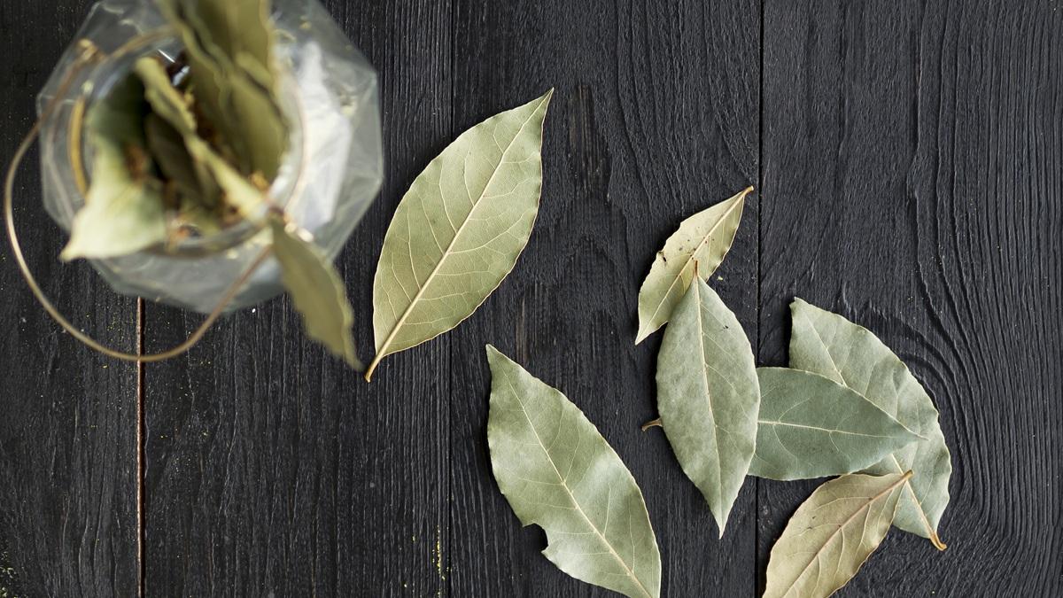 Лавровый лист