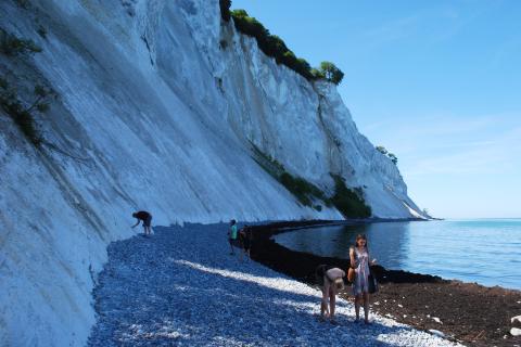 Белые скалы в Дании меняются прямо сейчас — и из-за этого туда хотят успеть многие