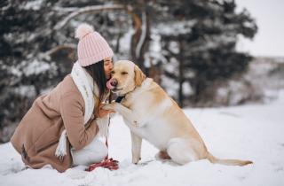 Собаки распознают стресс человека по запаху с точностью 93,75 % — Animal Cognition