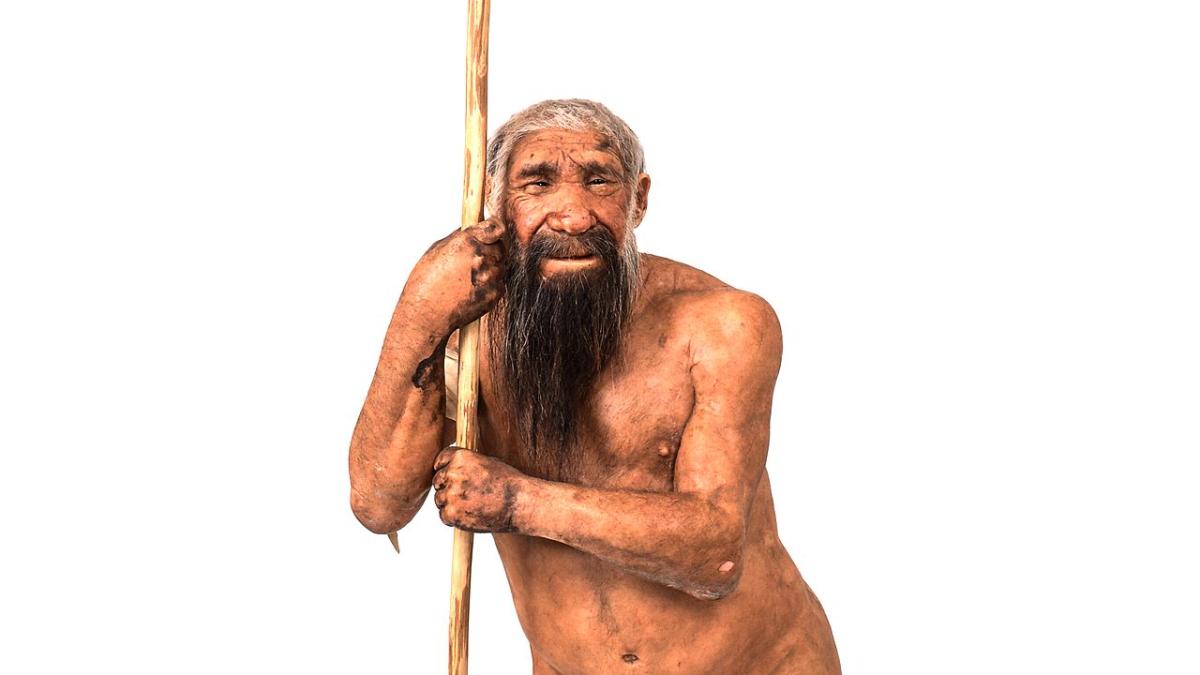 Homo neanderthalensis, реконструкция Homo neanderthalensis, реконструкция