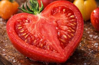 Вирус томатов поможет контролировать очистку сточных вод — Scientific Reports