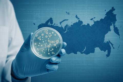 UChicago PME создали первый биологический кубит — перспективы для медицинской диагностики
