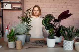 Листья желтеют, а земля мокрая — одна ошибка превращает уход в 