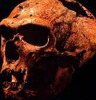 Ученые воссоздали голос неандертальца