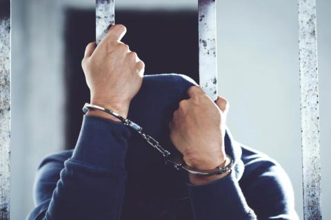 Экс-министра лесного хозяйства Приморья арестовали за взятки в 3,5 млн рублей