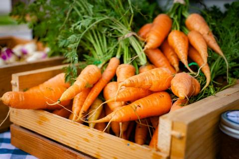 Метод хранения моркови в вакууме: защищает от гнили и сохраняет вкус