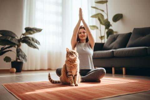 Врачи: регулярные осмотры после 7 лет помогают кошкам избежать ранних заболеваний