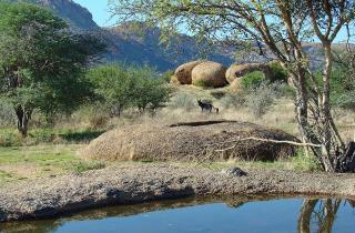 Национальный парк 