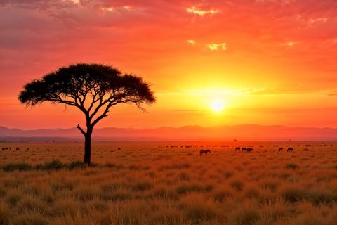 Африка вступила в фазу континентального разлома — The Indian Express