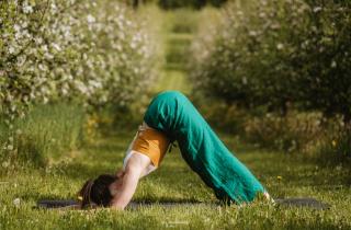 Поза собаки мордой вниз укрепляет корпус и ноги — объяснила инструктор Эшли Ридо