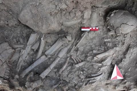 Генетики доказали ошибку в определении пола скелетов из Шимао — Nature