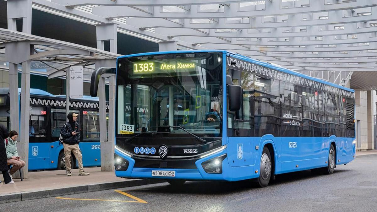 автобус автобус