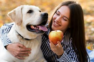 Морковь, яблоки и йогурт названы лучшими натуральными лакомствами для собак