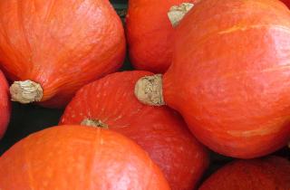 Названы пять правил хранения тыквы - сухая очистка, проветривание и раскладка плодоножкой вверх