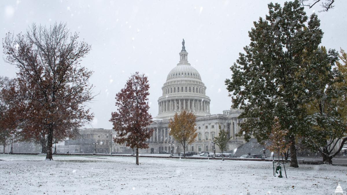 U.S. Capitol Snow 2018 (32026277508)