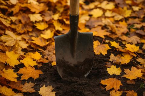 Экологичный уход за садом снижает отходы и поддерживает биоразнообразие даже без лишней работы Экологичный уход за садом снижает отходы и поддерживает биоразнообразие даже без лишней работы