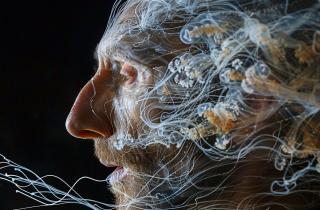 Телепатия может иметь физическую природу — Стремме