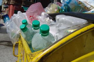 Пластиковые бутылки помогают утеплить стволы деревьев зимой — эксперт Кузнецов