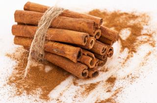 Сухая корица помогает растениям бороться с инфекциями и вредителями — ботаник Иванов