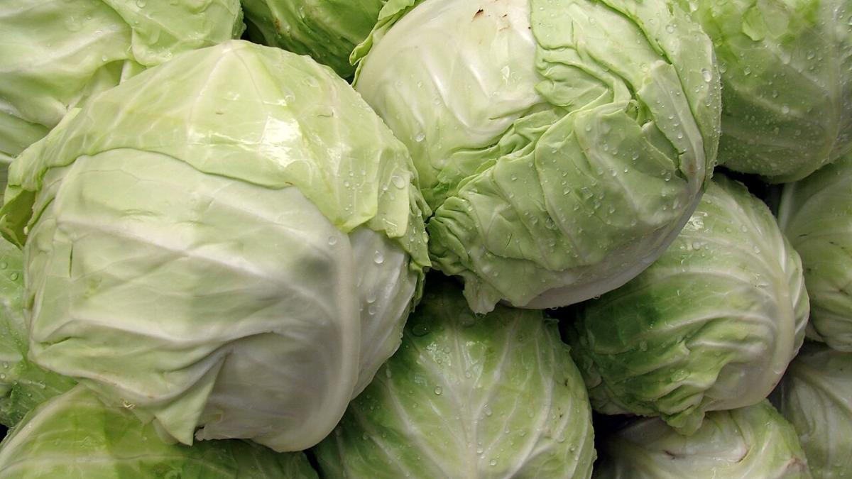Белокачанная капуста