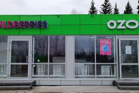 Жители УрФО потратили на онлайн-покупки 420 млрд рублей — данные Авито