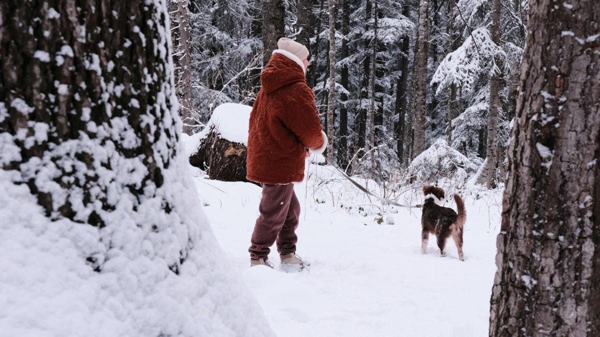 Прогулка с собакой