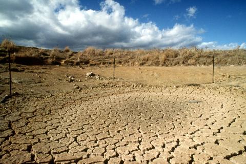 NASA: континенты теряют пресную воду вдвое быстрее из-за засух и откачки грунтовых вод