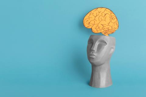 Доктор Ольга Анцупова рассказала, как сохранить остроту мышления