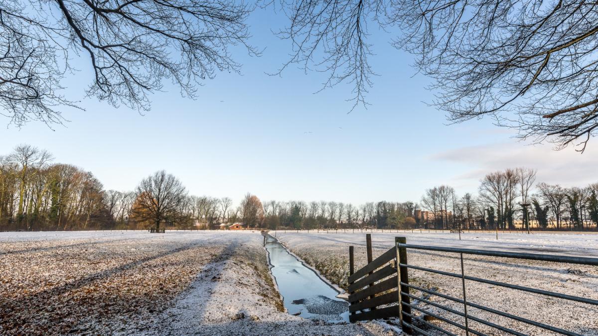 Огород зимой