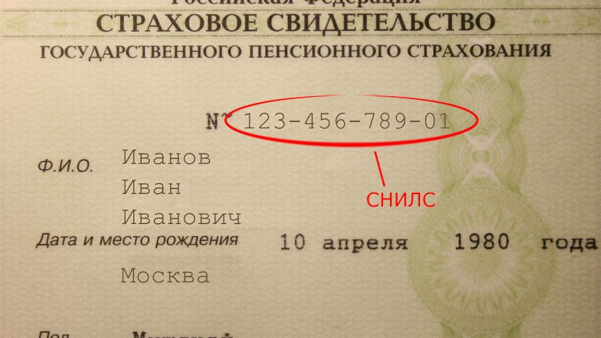 СНИЛС СНИЛС