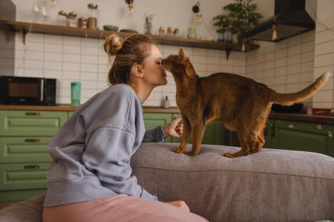 Что означает, когда кошка мнёт лапами колени хозяина — мнение специалистов