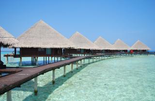 Более 2000 видов рыб обитают в водах Мальдив — путешественники