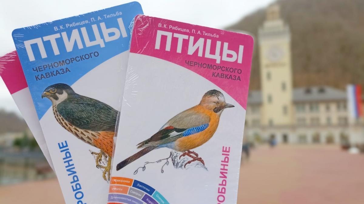Проект по искусственным гнездовьям птиц курорта Роза Хутор Проект по искусственным гнездовьям птиц курорта Роза Хутор