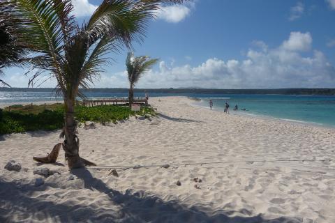 Тувалу зарабатывает 4,32 млрд евро от домена .tv — данные VeriSign