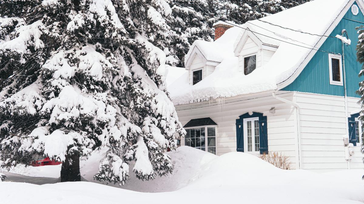 Зимний двор с бело-голубым домом и елью