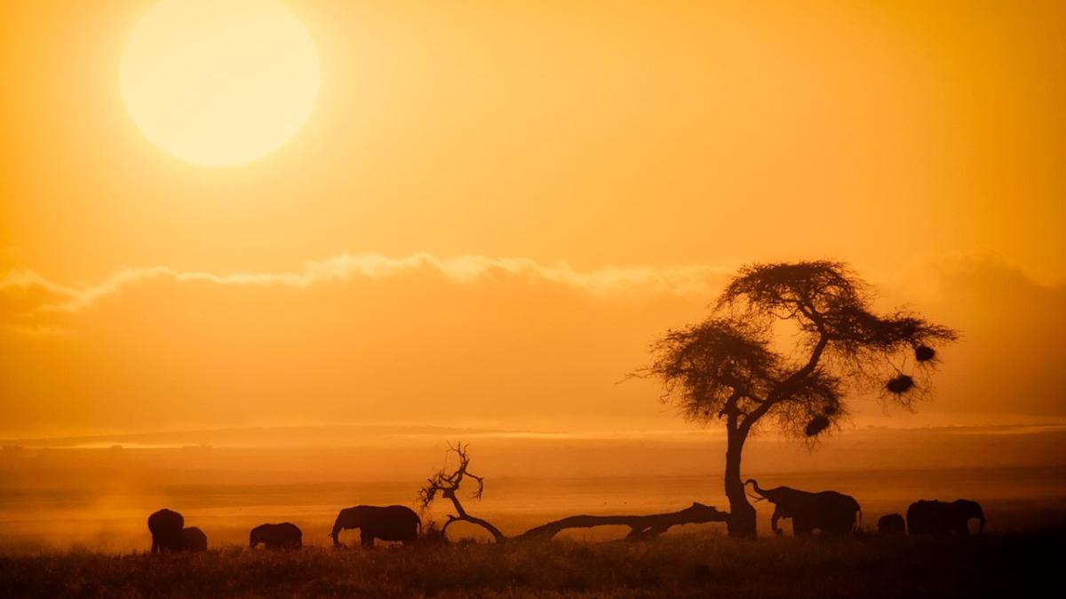 Восход солнца в Африке, Национальный парк Амбосели