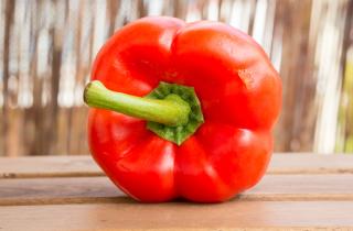 Время — золото, а свет — дефицит: ранний марафон на дачном окне требует особого порядка посадки