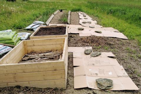 Эми Мэй назвала картонный метод эффективным способом подготовки участка к весенним посадкам