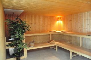 Лесная сауна в Шумяце предлагает уникальный опыт релаксации и восстановления — TASR