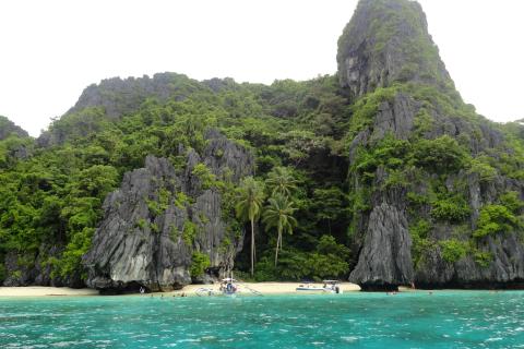 На Филиппинах туристов впечатлили китовые акулы, тарсиеры и река Лобок