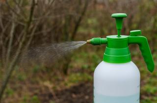 Опрыскивание деревьев перцевым раствором защищает их от повреждений