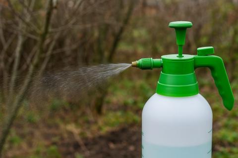 Опрыскивание деревьев перцевым раствором защищает их от повреждений