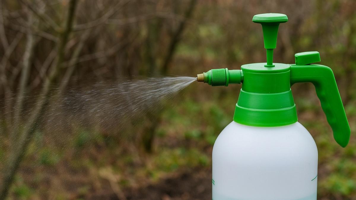 Осенняя обработка сада от вредителей