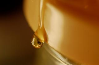 Фармакологи: мёд по утрам помогает активизировать метаболизм и работу мозга