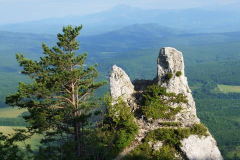 Туристы добираются к скале Чёртов Палец в Адыгее по эко-тропе и на внедорожниках