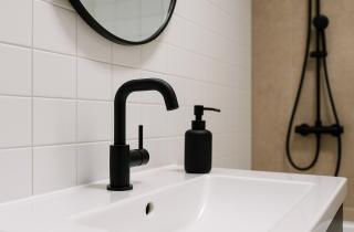 Клинеры назвали безопасные средства для ухода за черной сантехникой - мыльный раствор, уксус и лимон