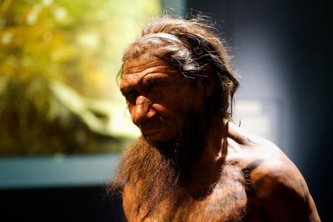 Неандертальцы разжигали огонь 400 тыс. лет назад — Роб Дэвис