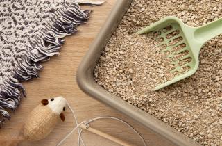 Пакет защищает лоток от загрязнений и запахов — ветеринары