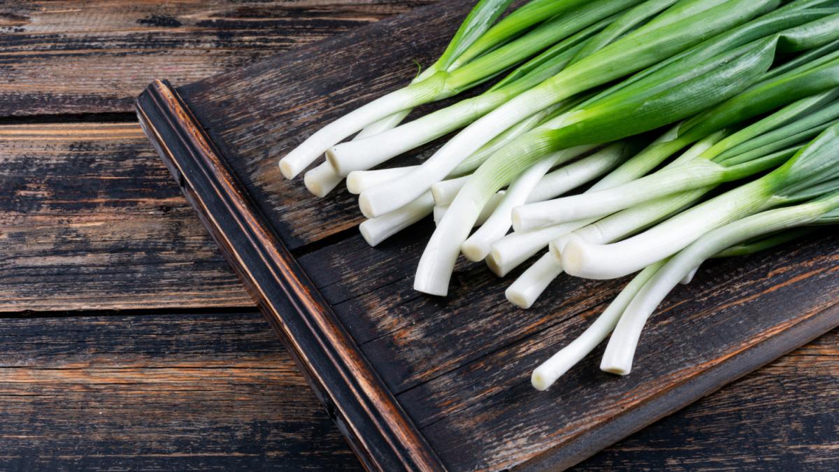 Зеленый лук