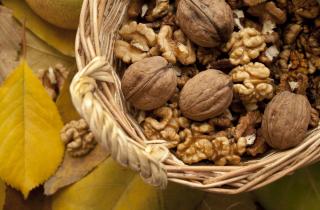 Настой из ореховой скорлупы улучшает почву и заменяет минеральные удобрения